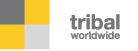BLOG TRIBAL DDB